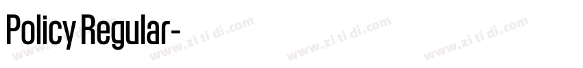 Policy Regular字体转换 Policy Regular字体转换